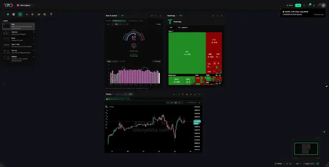 A Tabmydata workspace with many tabs arranged on one canvas