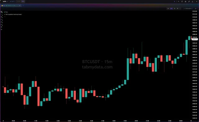 The Tabmydata Liquidation Heatmap tab